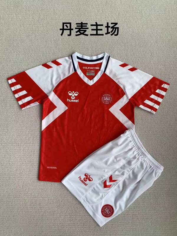 23-24 Season Denmark Home Red Color Kids Football Uniform